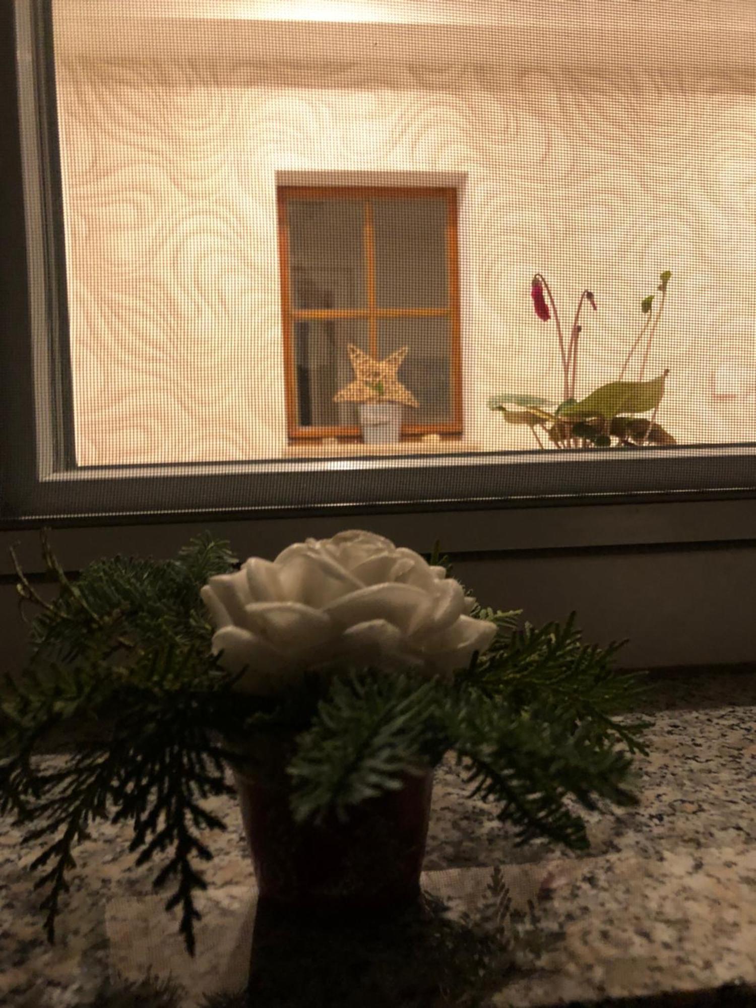 Dirks Schmuckstuck Villa Weisswasser Kültér fotó
